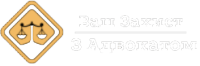 Адвокат Дар'я Богдашкіна
